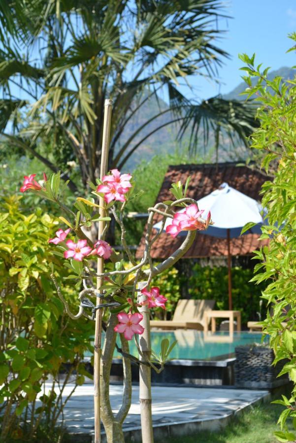 Sunia Loka Bungalows & Dive Center Pemuteran  Ngoại thất bức ảnh
