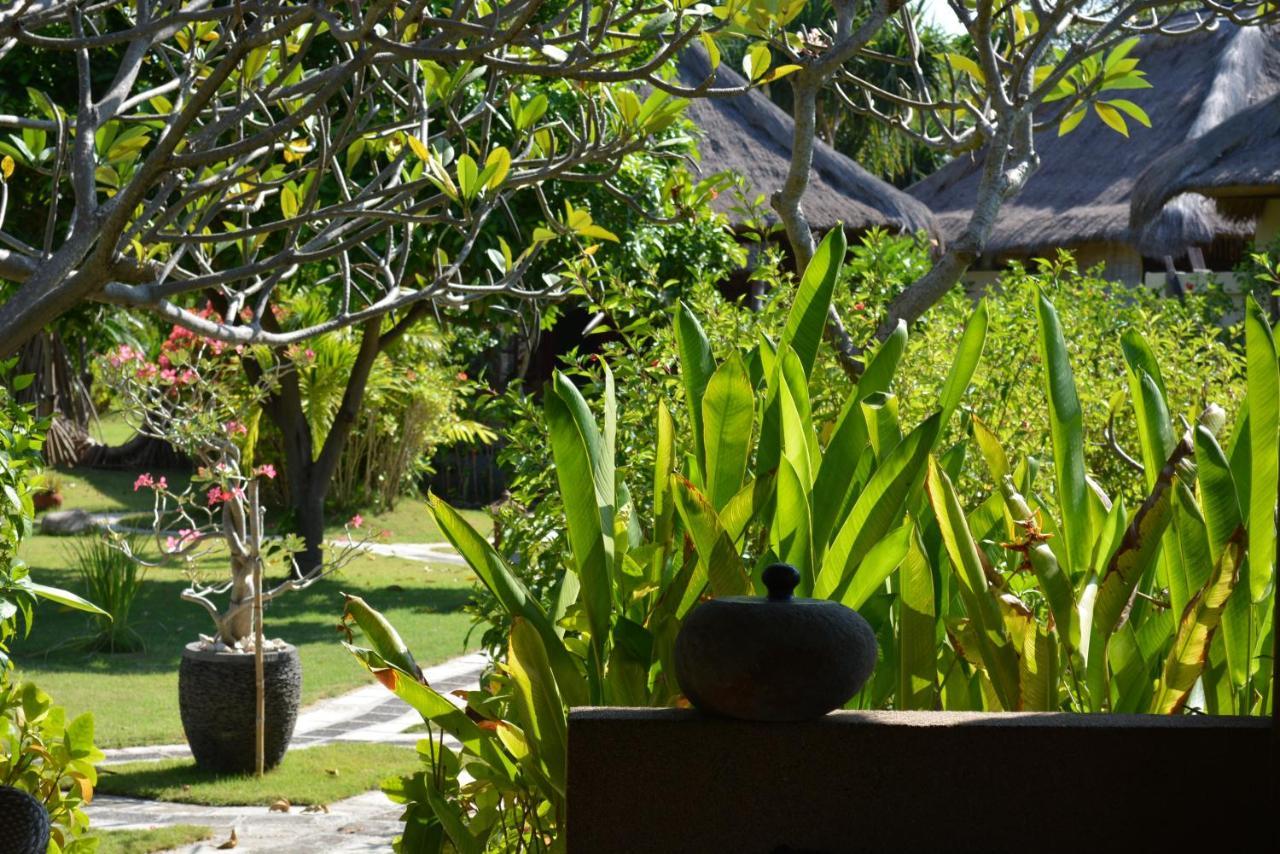 Sunia Loka Bungalows & Dive Center Pemuteran  Ngoại thất bức ảnh