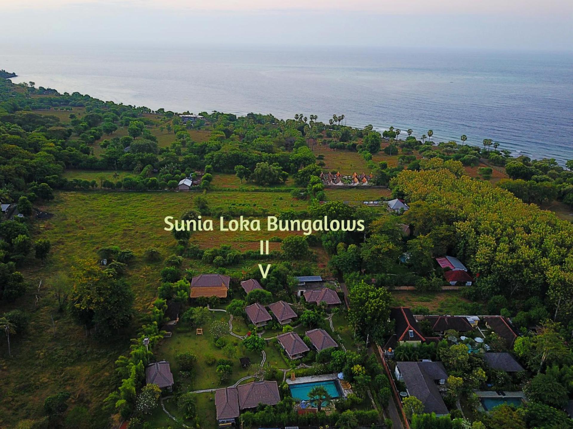 Sunia Loka Bungalows & Dive Center Pemuteran  Ngoại thất bức ảnh