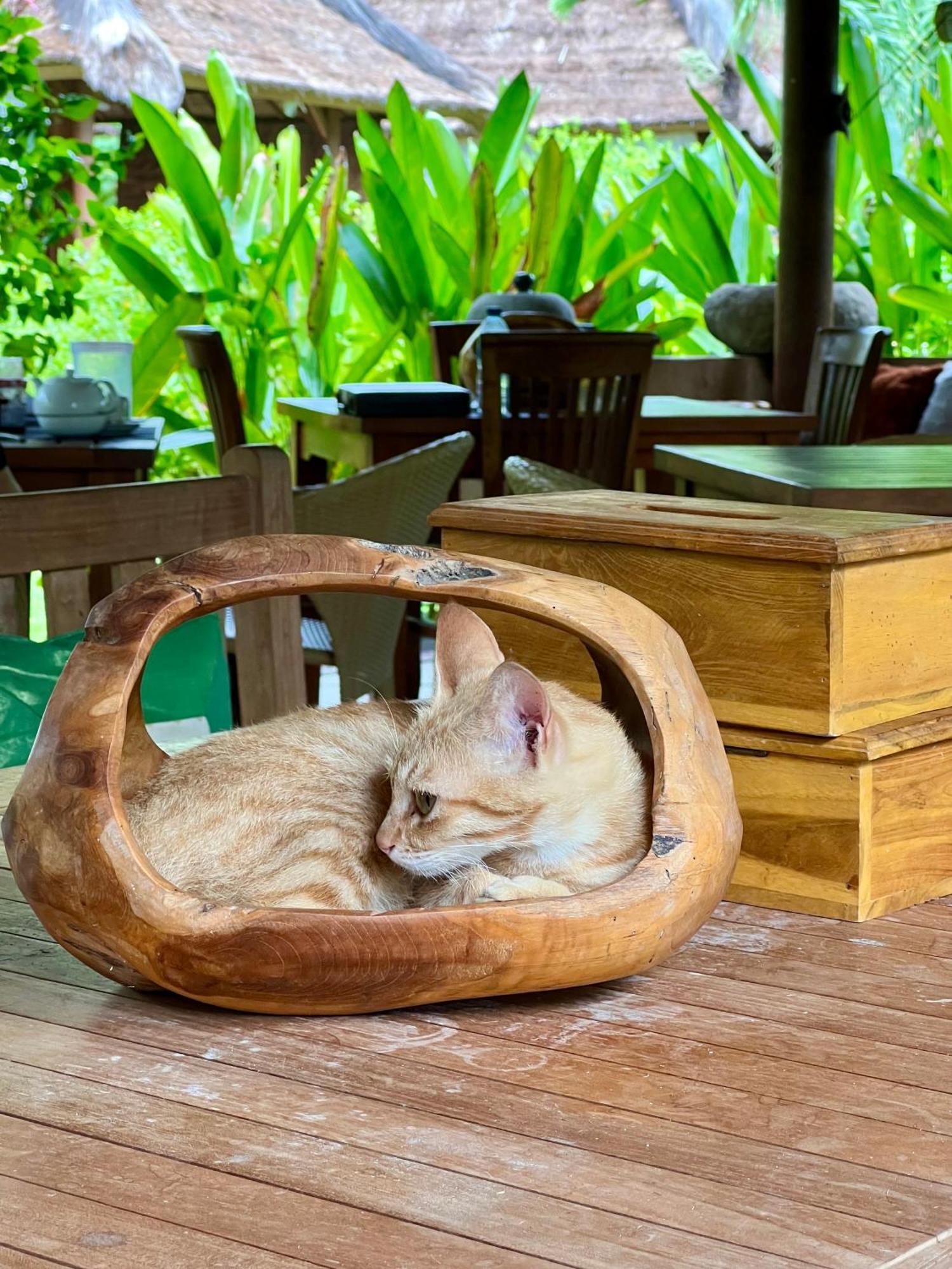 Sunia Loka Bungalows & Dive Center Pemuteran  Ngoại thất bức ảnh