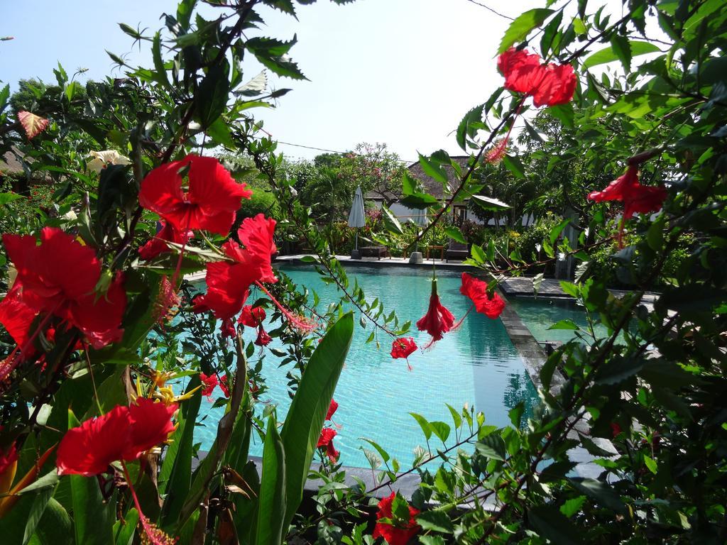 Sunia Loka Bungalows & Dive Center Pemuteran  Ngoại thất bức ảnh