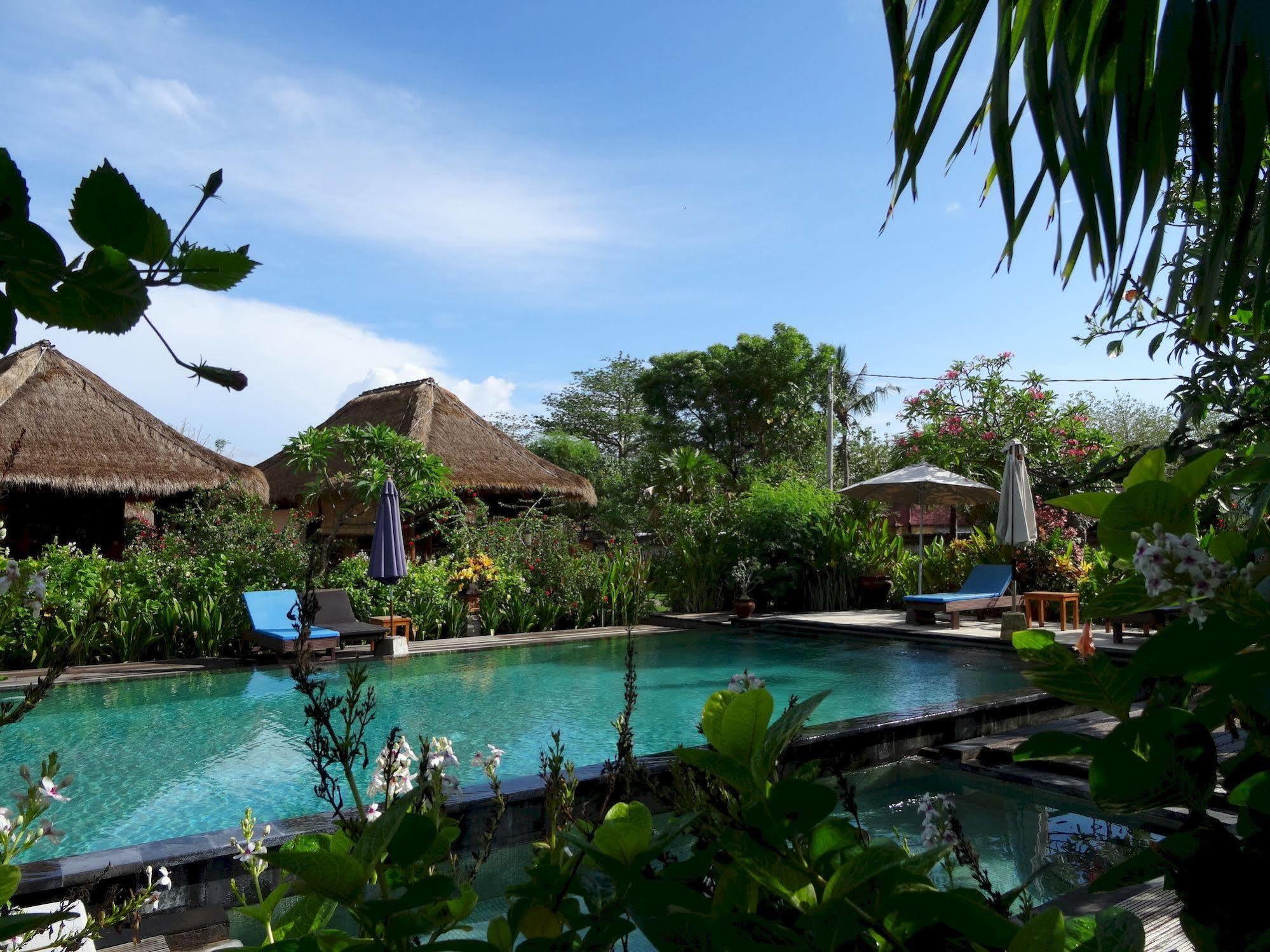 Sunia Loka Bungalows & Dive Center Pemuteran  Ngoại thất bức ảnh
