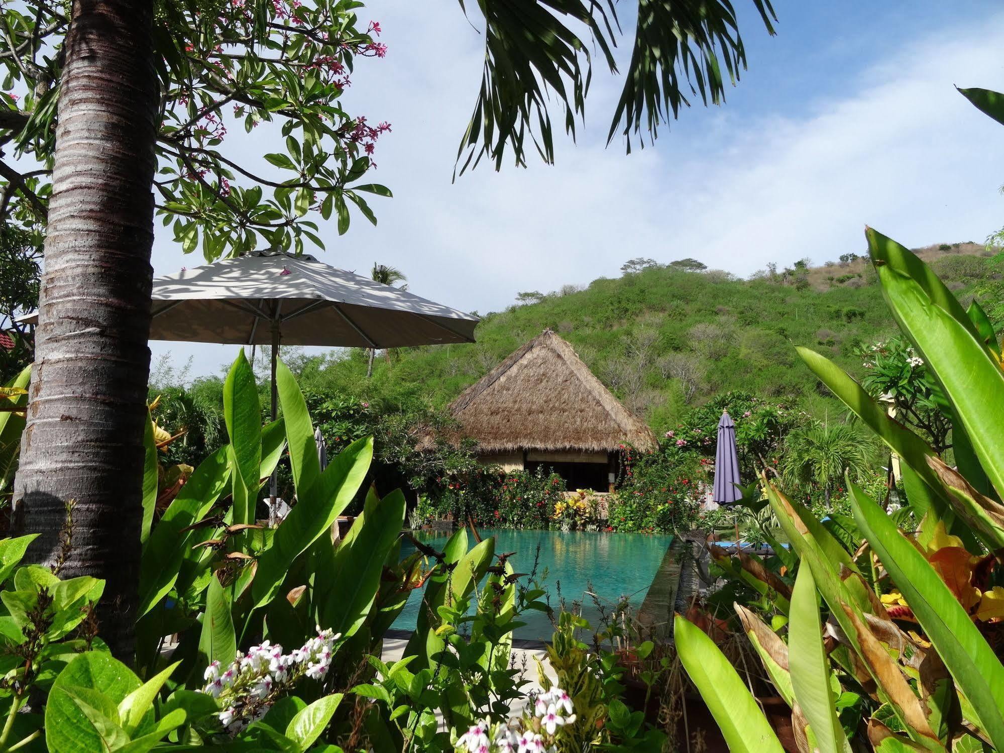 Sunia Loka Bungalows & Dive Center Pemuteran  Ngoại thất bức ảnh